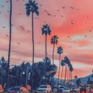 Meet your Posher, Elle